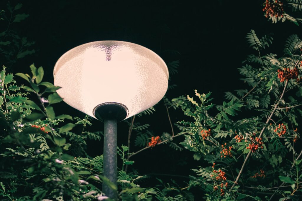 a round light bulb in front of plants